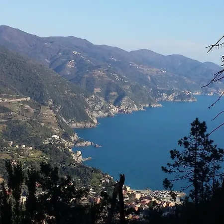 Raggi Di Sole